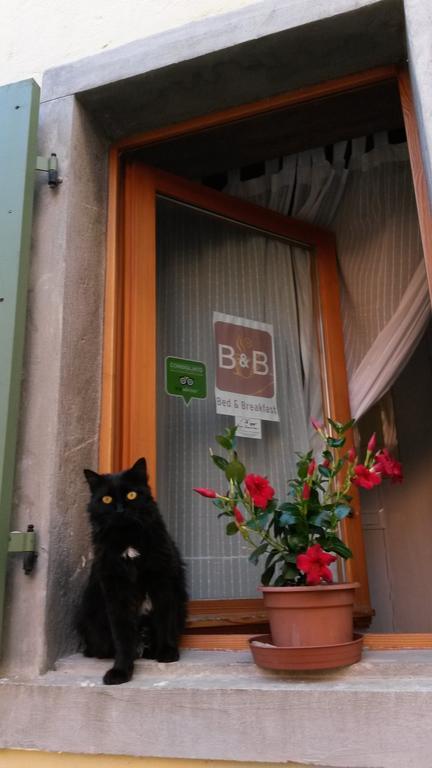 B&B Borgo Massovrana Castel di Casio Eksteriør billede